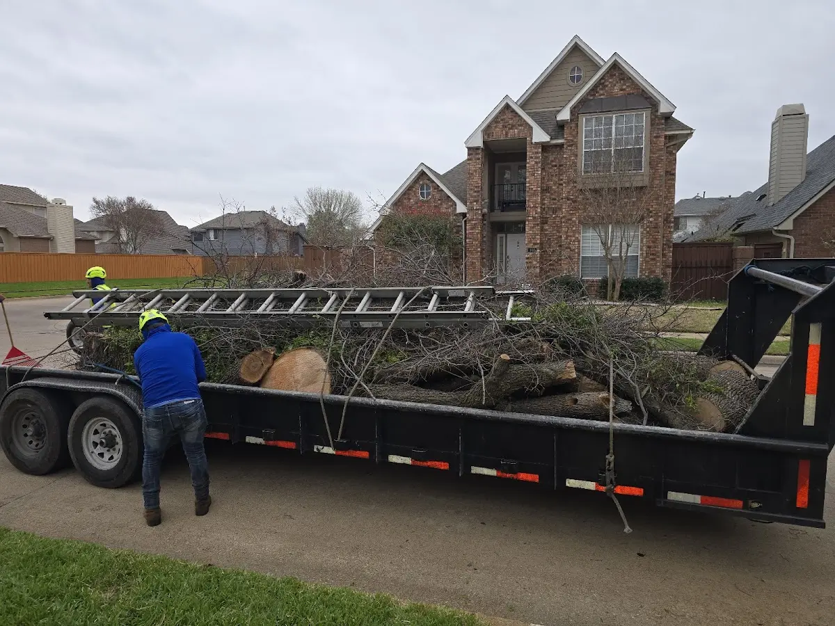 Expert Lot Clearing with proper safety equipment in Lexington
